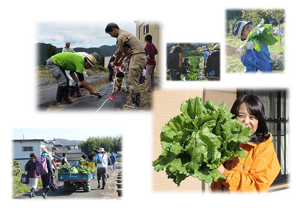 img_satojuku